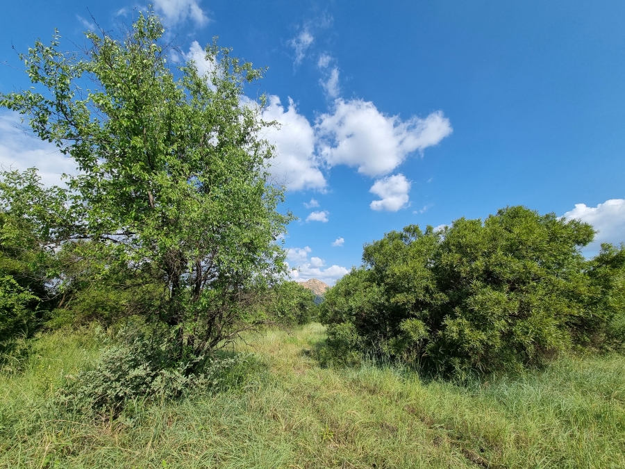 Commercial Property for Sale in Olifantsnek North West